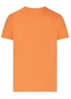 Футболка мужская хлопковая Esmara men оранжевый XL(56/58) - изображение 3