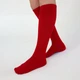 Гольфи Premier Socks “Червоний Акцент”, розм. 36-39 - зображення 2