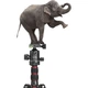 Штатив SmallRig 3935 для зеркальных фотокамер, профессиональная подставка для фотоаппаратов, портативный штатив из алюминиевого сплава для камер и телефонов, штатив с шаровой головкой и гидравлическим демпфированием для беззеркальных камер. - изображение 3