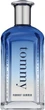 Woda toaletowa męska Tommy Hilfiger Tommy Vibrant Summer 100 ml (7640496671297) - obraz 1