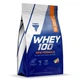 Протеїн Trec Nutrition Whey 100 New Formula 700 г 23 servings Hazelnut - зображення 1