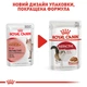 Консервы для кошек Royal Canin Instinctive кусочки в соусе, 85 г - изображение 8