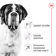 Сухий корм для собак Royal Canin Giant Adult для гігантських порід більше 45 кг від 18 місяців 15 кг - зображення 12