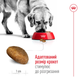Сухой корм для собак Royal Canin Maxi Adult для крупных пород больше 26 кг от 15 месяцев 15 кг - изображение 10