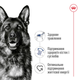 Сухой корм для собак Royal Canin Maxi Adult для крупных пород больше 26 кг от 15 месяцев 15 кг - изображение 11