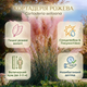 Саджанці Кортадерії рожевої (Cortaderia selloana) Р9 - изображение 5