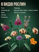 Конструктор Букет цветов 756 деталей Ботаническая коллекция Botanical Flower bouquet - изображение 2