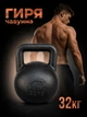 Гиря чавунна Newt 32 кг (NE-100-3200) - зображення 1