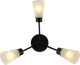 Люстра стельова Light House SRS-20722/3 чорний + хром, плафон білий - зображення 3