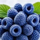 Креатин Creatine Monohydrate 250g (Blue raspberry) - зображення 3