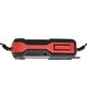Зарядное устройство Vitals Master DS 4.0 162862 - изображение 4