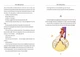 Книга The Little Prince (Маленький принц). Чтение по-английски A2–B1 - изображение 6