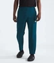 Брюки мужские The North Face Tekware™ Grid Pants M Синій NF0A84F14H0 - изображение 1