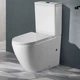 Унитаз компакт Mixxus Premium Ellipse-0401-T1 630x390 овальный, с сиденьем, белый (MP6467) - изображение 1