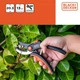 Секатор Black&Decker наковаленчатый садовый для цветов и живой изгороди (871125223417) - изображение 5