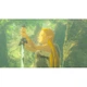 Игра Nintendo Legend of Zelda Breath of the Wild, картридж (Switch 2) (0045496312664) - изображение 6