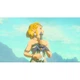 Игра Nintendo Legend of Zelda Tears of the Kingdom, картридж (Switch 2) (0045496312572) - изображение 6