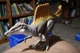 Динозавр Спинозавр Мир Юрского периода Jurassic world Spinosaurus Dinosaur Rebirth Storypack JGB54 Mattel - изображение 8