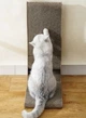 Угловая когтеточка для котов Purlov 22008 с шариком (2в1) - изображение 8