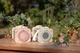Pojemnik do obserwacji owadów Little Dutch Fairy Garden FSC (LD9135) (8713291891357) - obraz 19