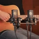 Мікрофони універсальні Lewitt LCT 440 PURE Stereo Pair (стереопара) (LCT440PURE) - изображение 13
