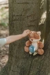 Maskotka-przytulanka Little Dutch Mały Lisek Forest Friends (LD8904) (8713291889040) - obraz 9