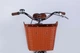 Велосипед городской ST 26" Dorozhnik Aquamarine BH 2026, рама 17" серый (OPS-D-26-356) - изображение 5