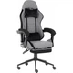 Кресло игровое GT Racer X-2324 Gray/Black (X-2324 Fabric Gray/Black Suede) - изображение 1