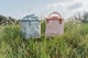 Torba termiczna Little Dutch Forest Friends LD4913 (8713291449138) - obraz 17