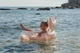 Kolo do plywania Little Dutch 2016390 Dreamy Mermaid 91 cm (8712051154619) - obraz 11