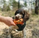 Іграшка для собак Non-Stop Dogwear Throwing Toy Помаранчево-чорна One Size (7071652081009) - зображення 5