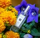 Тестер Одеколон для женщин Jo Malone London Wild Bluebell 30 мл (2008421064241) - изображение 2