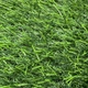 Штучна трава для вулиці CCGrass Fan 25 2м. - зображення 3