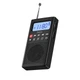 Портативный радиоприемник HOCO HI51 Portable radio AM/FM USB/TF/BT5.3 3W Black - изображение 2