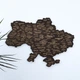 Настенная однослойная карта Украины тёмного цвета без коробки, 55 × 38,5 см Гранд Презент 13 - изображение 1