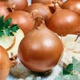 Лук репчатый Халцедон, 10 г, Садиба - изображение 2