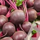 Свекла столовая Детройт, 20 г, Садиба - изображение 3