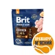 Корм сухой Brit Premium Dog Adult M для взрослых собак средних пород весом 10-25 кг с курицей 1 кг - изображение 6
