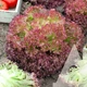 Салат листовой Лолло Росса, 1 г, Садиба - изображение 3