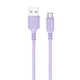 Дата кабель USB 2.0 AM to USB-C 1.0m soft silicone violet ColorWay - изображение 1