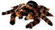 М'яка іграшка Mikamax Giant Tarantula 1265202 85 см (8721154050049) - зображення 1
