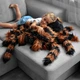 М'яка іграшка Mikamax Giant Tarantula 1265202 85 см (8721154050049) - зображення 5