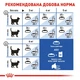 Сухий корм для домашніх кішок Royal Canin Indoor 2 кг - зображення 6
