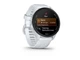 Смарт-годинник Garmin Forerunner 70 Whitestone (010-04307-01) - зображення 7
