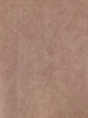 Сорочка жіноча Colin's CL1075720CML M Camel (8684112814025) - зображення 6