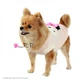 Свитер для собак с Мишкой, крупная вязка с плюшевым воротом, розовый L Pretty Pet (2000003547272) - изображение 3