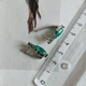 Серебряные серьги с натуральным агатом 3.208ct (2215103) - изображение 5