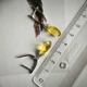 Серебряные серьги с цитрином nano 9.68ct, фианитами (2213154) - изображение 4