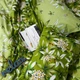 Набір наволочок Moon&Star Бязь Gold Люкс Fresh Bloom 50х50 см 2 шт (MS-840001784) - зображення 2