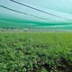 Затіняюча сітка 45% Agreen (2х5) укріплений край, зелена 010287 - изображение 7